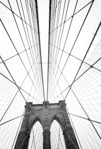 photography / design photography / design