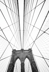 iStock_000005620789Medium iStock_000005620789Medium